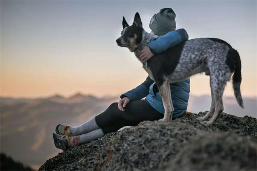 20 Spring Pet Dangers: Keep Your Dog or Cat Safe This Season